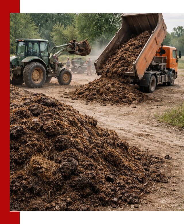 Доставка навоза самосвалами в Похвистневе для сельхозпотребностей
